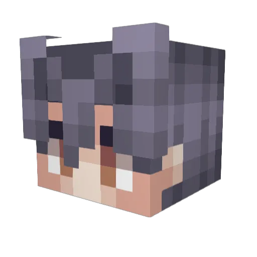 Tobbe500 Minecraft avatar head, 3D render