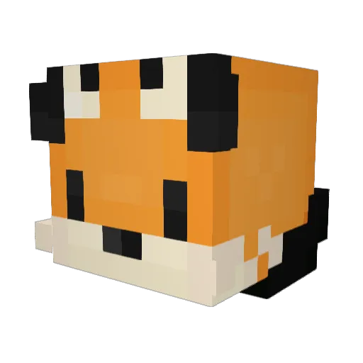 Toben5410 Minecraft avatar head, 3D render