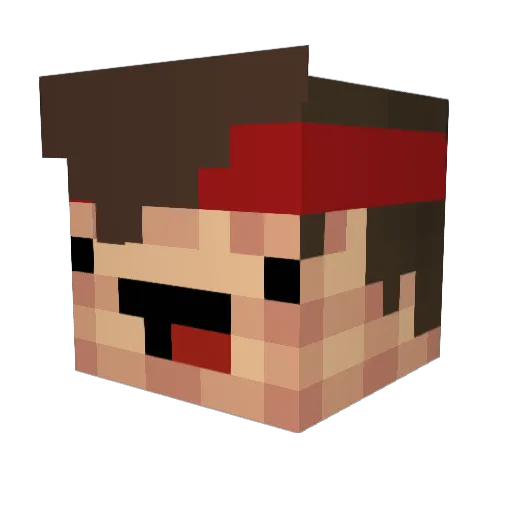 Tobi00 Minecraft avatar head, 3D render