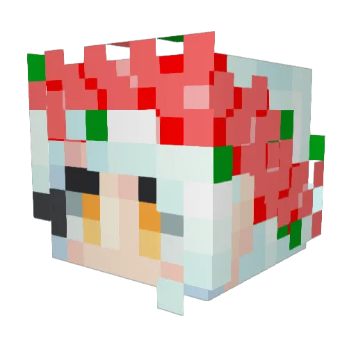 Tobi611 Minecraft avatar head, 3D render