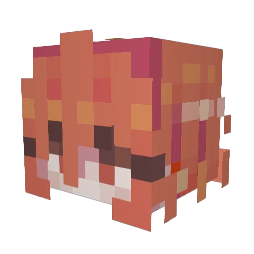 Tobi760 Minecraft avatar head, 3D render