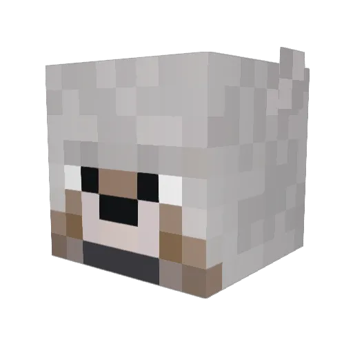 Tobi997 Minecraft avatar head, 3D render