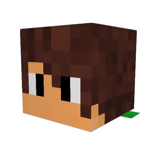 TobiCrafter2 Minecraft avatar head, 3D render
