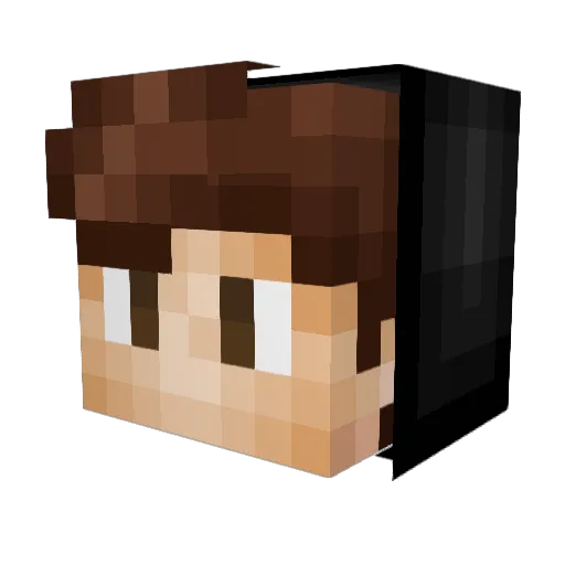 TobiMC112 Minecraft avatar head, 3D render