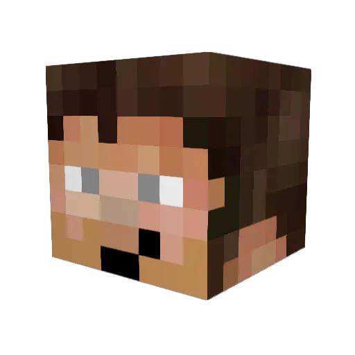 TobiT23 Minecraft avatar head, 3D render