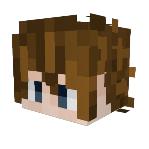 Tobi_Toast Minecraft avatar head, 3D render