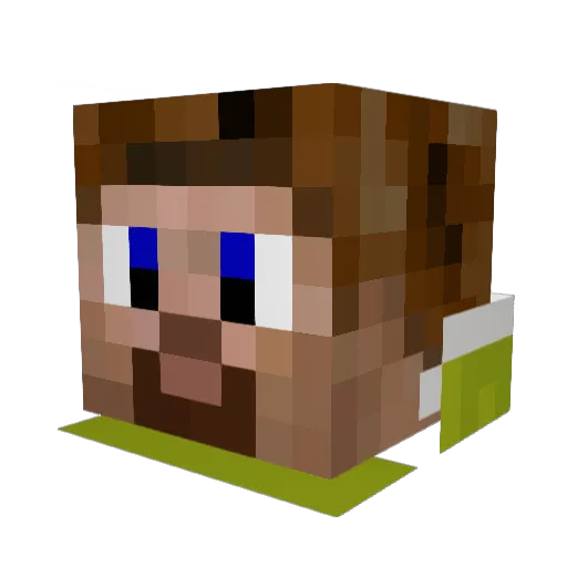 Tobi_aka Minecraft avatar head, 3D render