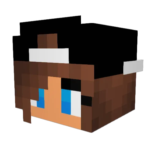 Tobi_killerHD Minecraft avatar head, 3D render