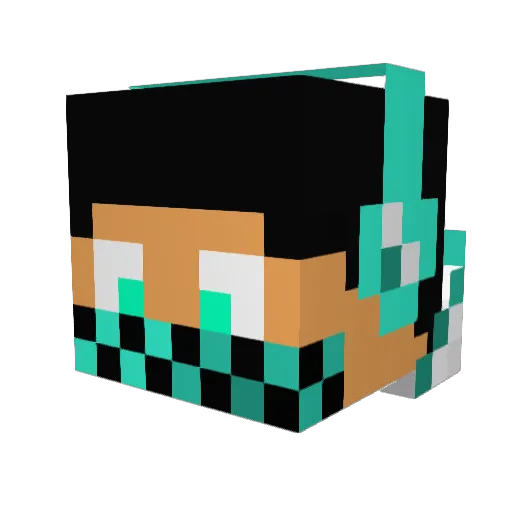 Tobia13 Minecraft avatar head, 3D render