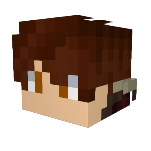 Tobias11041 Minecraft avatar head, 3D render