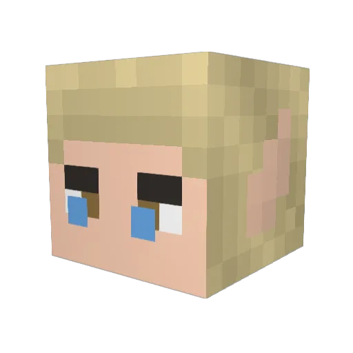 Tobias1996 Minecraft avatar head, 3D render