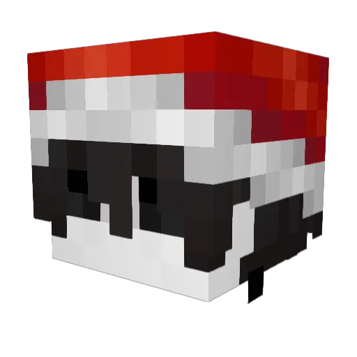 Tobias2676 Minecraft avatar head, 3D render