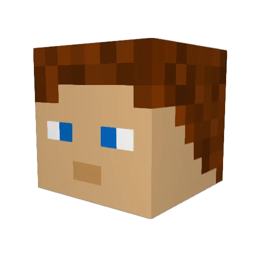 TobiasFCN Minecraft avatar head, 3D render