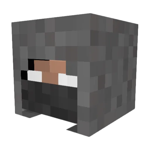 TobiasHo2000 Minecraft avatar head, 3D render