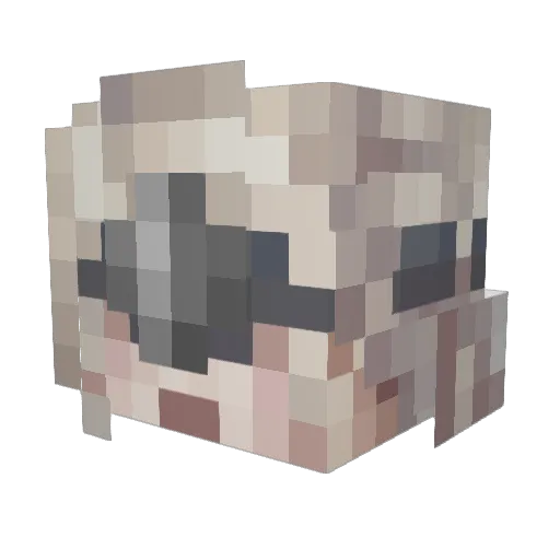 TobiasNotFound Minecraft avatar head, 3D render