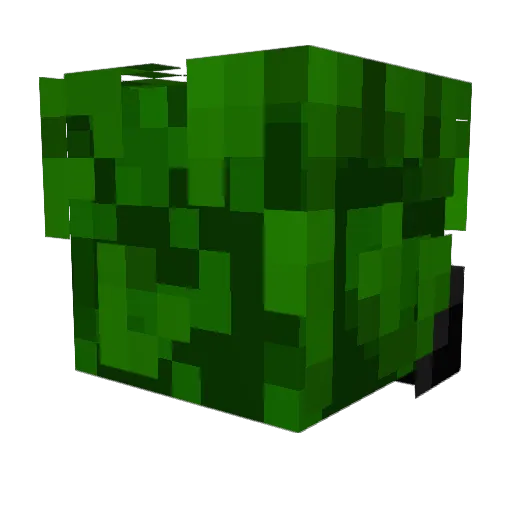 Tobifox1 Minecraft avatar head, 3D render