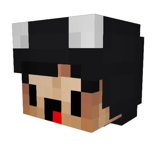 Tobikenobi Minecraft avatar head, 3D render