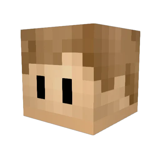 Tobim7 Minecraft avatar head, 3D render