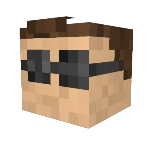 Tobin24 Minecraft avatar head, 3D render