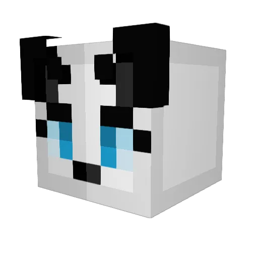 TobinButtram Minecraft avatar head, 3D render
