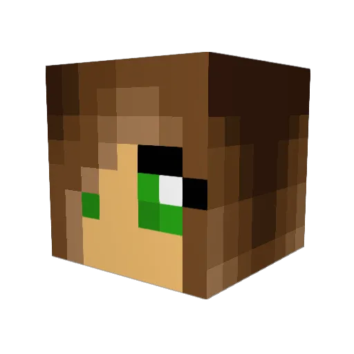 Tobinator12 Minecraft avatar head, 3D render