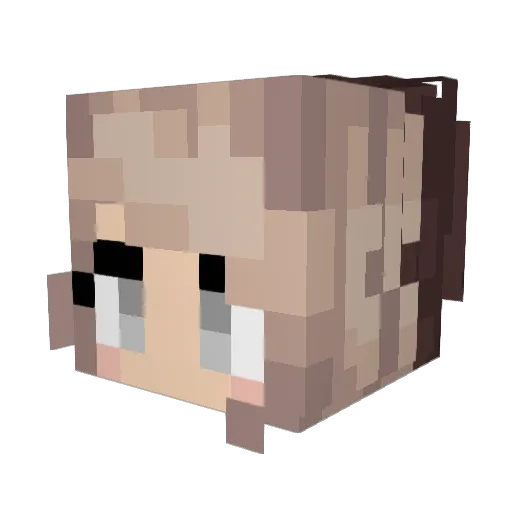 Tobinator_999 Minecraft avatar head, 3D render