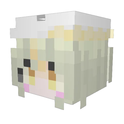 Tobira_76 Minecraft avatar head, 3D render