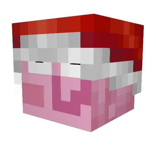 TobisDK Minecraft avatar head, 3D render