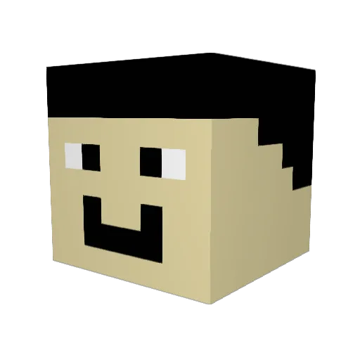 Tobiwol5 Minecraft avatar head, 3D render