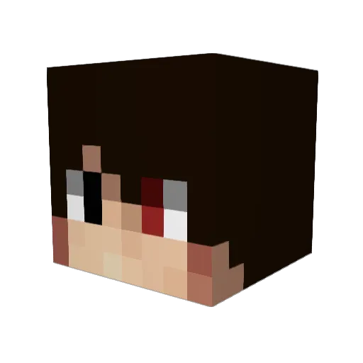Tobloc67 Minecraft avatar head, 3D render