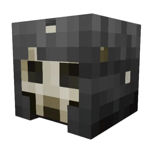 Tobmaster01 Minecraft avatar head, 3D render