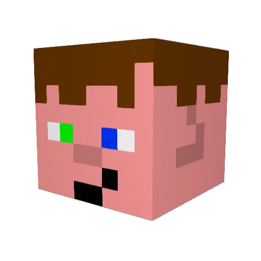 Toboar64 Minecraft avatar head, 3D render