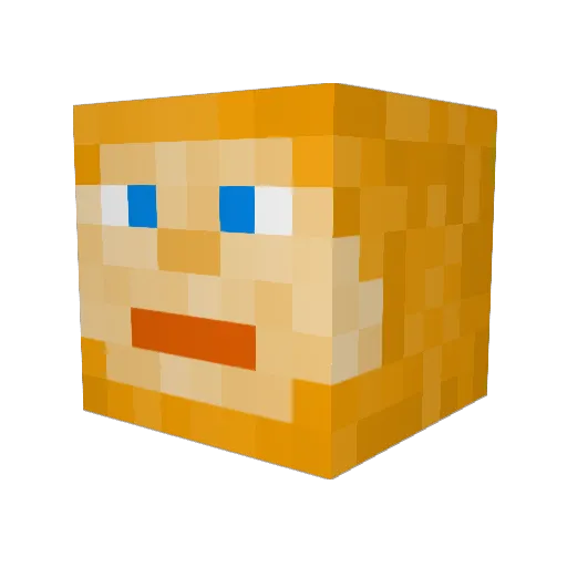 Toboi_ Minecraft avatar head, 3D render