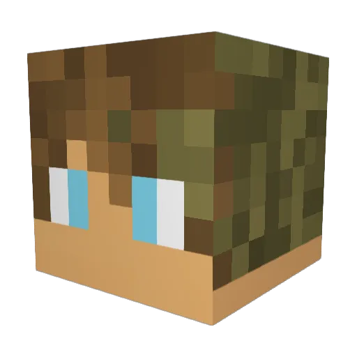 Tobotti Minecraft avatar head, 3D render