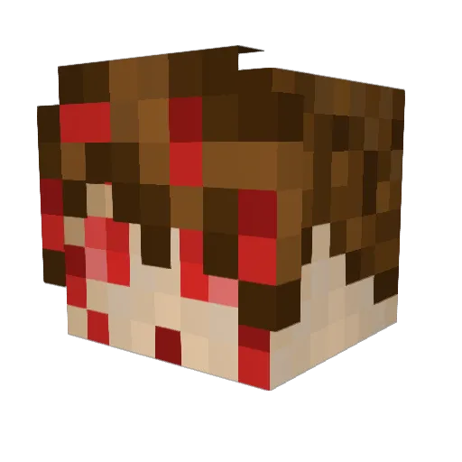 Toboz04 Minecraft avatar head, 3D render