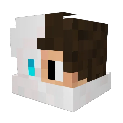 Tobrok Minecraft avatar head, 3D render
