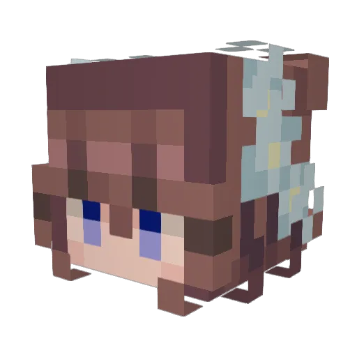 Toby61 Minecraft avatar head, 3D render