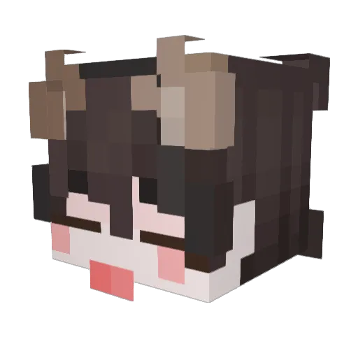 Toby7976 Minecraft avatar head, 3D render