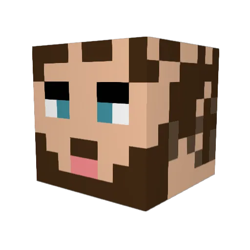 TobyCr4ft Minecraft avatar head, 3D render