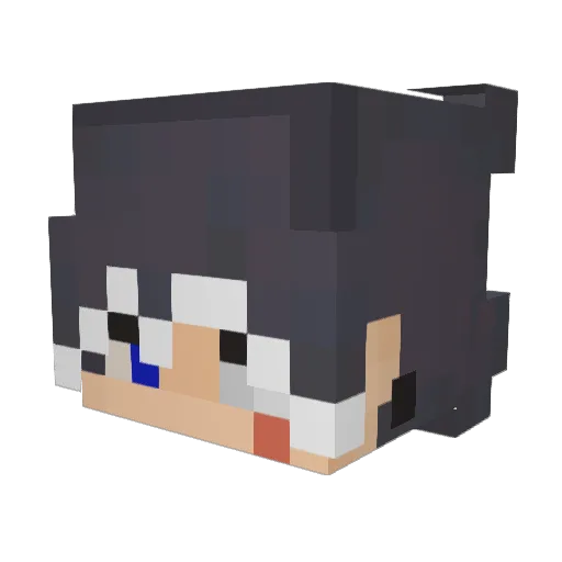 TobyDaSunflower Minecraft avatar head, 3D render