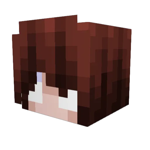 TobyG104 Minecraft avatar head, 3D render