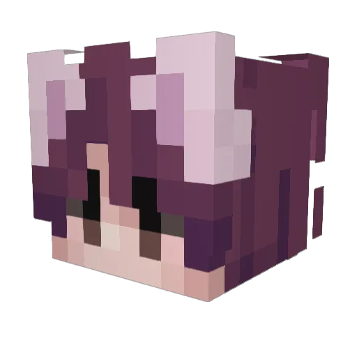 TobyHuan420 Minecraft avatar head, 3D render