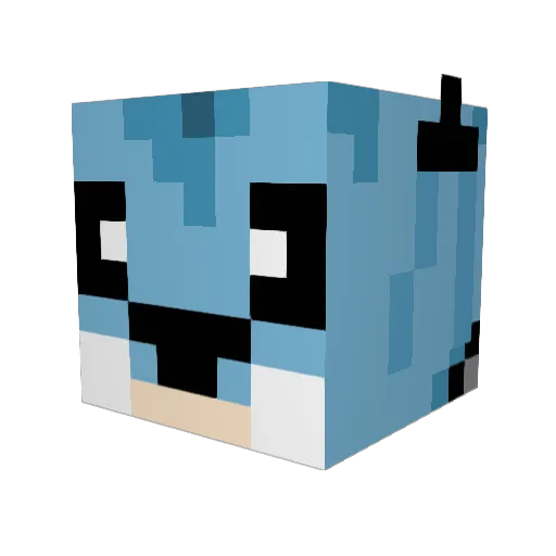 Tobycraft0128 Minecraft avatar head, 3D render