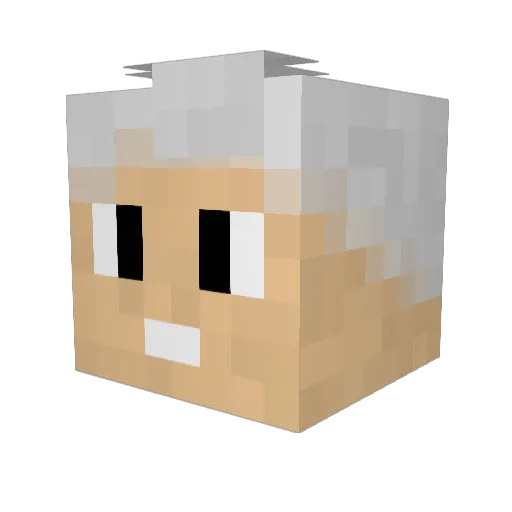 Toca_Nele Minecraft avatar head, 3D render