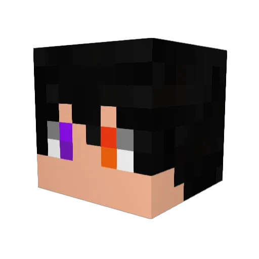 Tocada900 Minecraft avatar head, 3D render