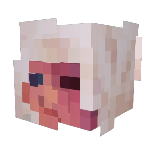 Tocamato Minecraft avatar head, 3D render