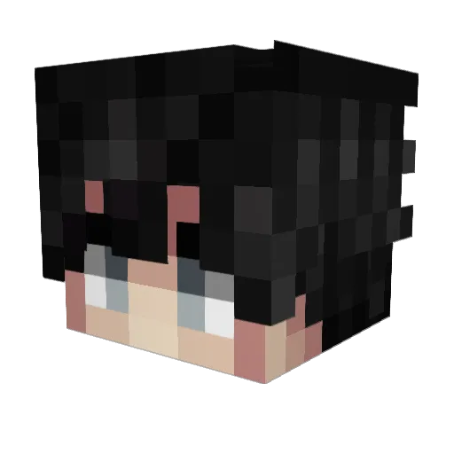 TocamePLS Minecraft avatar head, 3D render