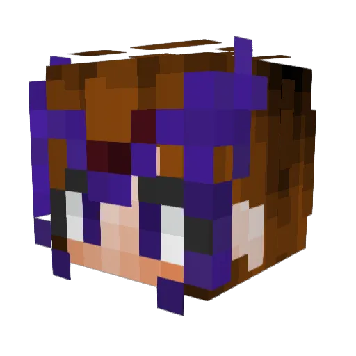 Tocca_Tina Minecraft avatar head, 3D render