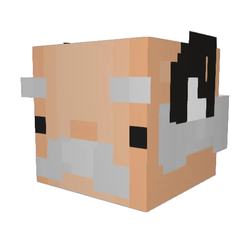 TochaDelaS Minecraft avatar head, 3D render