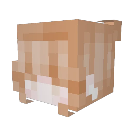 Toche1224 Minecraft avatar head, 3D render